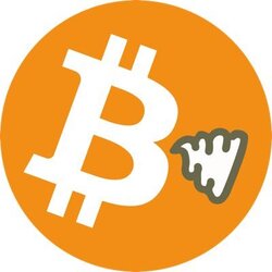 shitcoin
